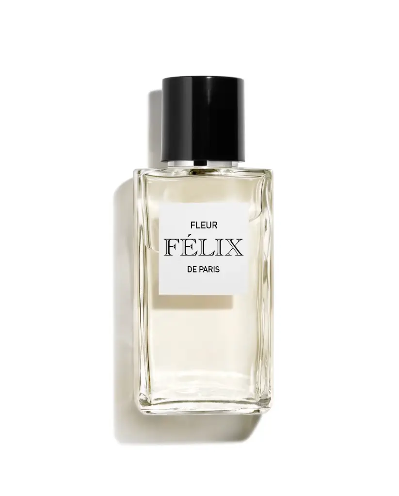 felix1.webp